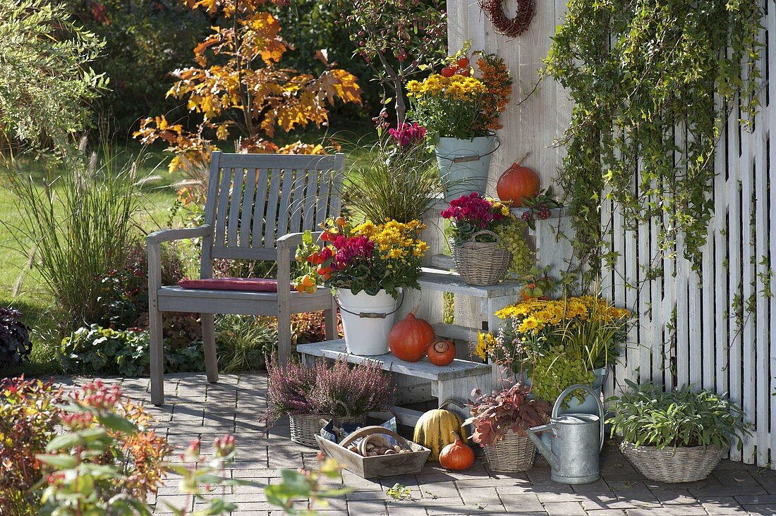 Autumn terrace with plant stairs