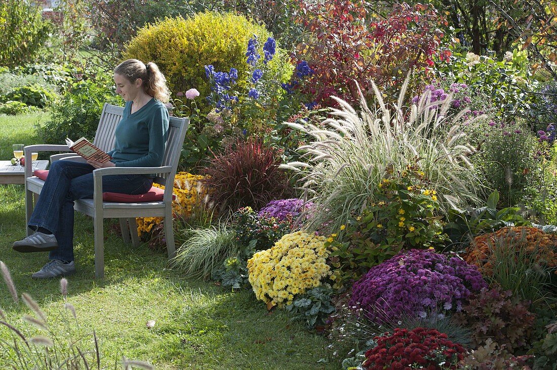 Autumn border with Chrysanthemum vr: 'Zelos', 'Kilo', 'Kiroul', 'Lara', 'Kifix'