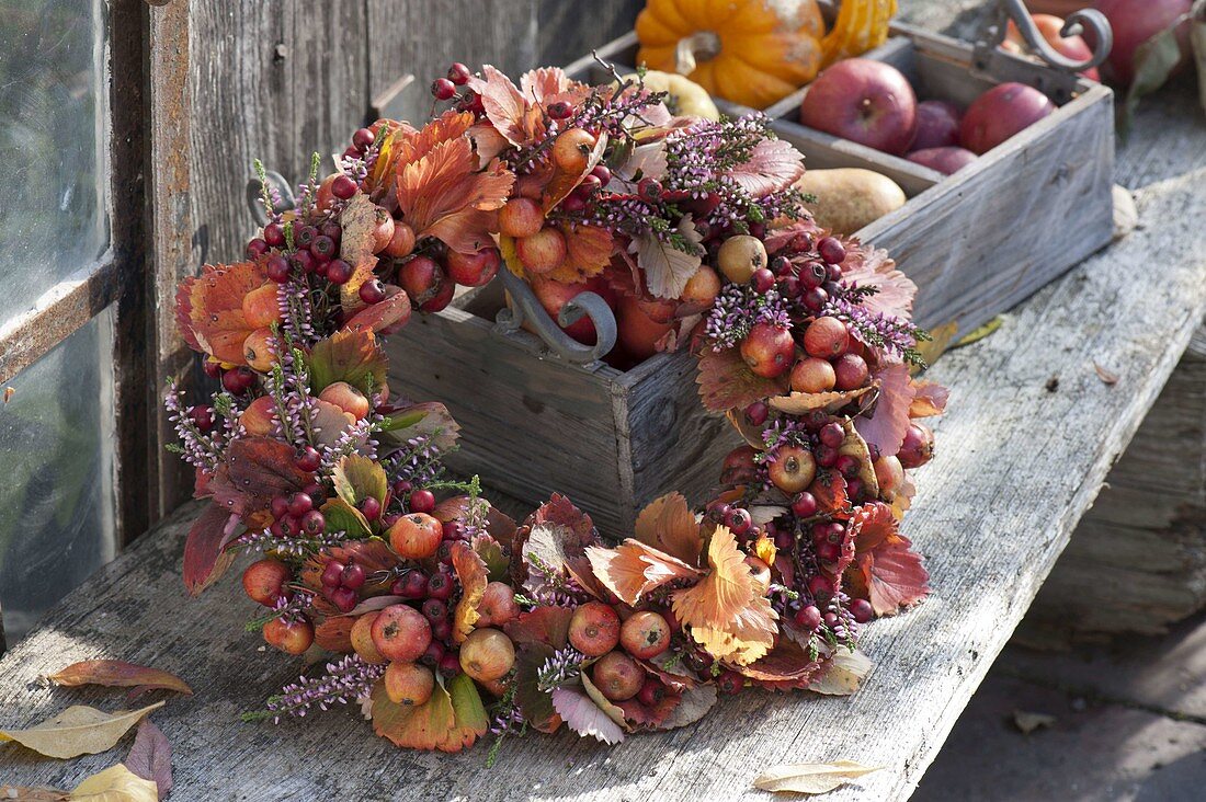 Kranz aus Blättern von Erdbeeren (Fragaria), Malus (Zieräpfeln), Calluna