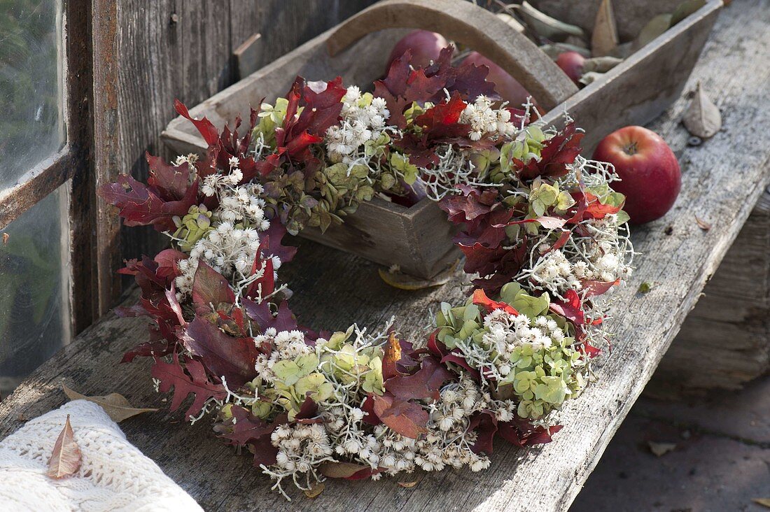 Autumn wreath with Anaphalis triplinivernis (pearl capitula, pearl paw)