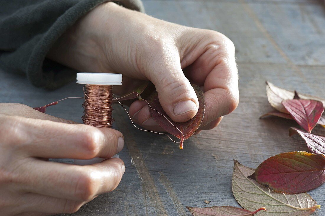 Garland of red autumn leaves (2/4)