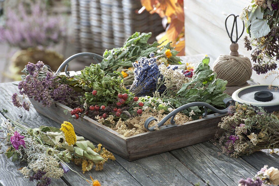 Making incense burners from collected and dried herbs