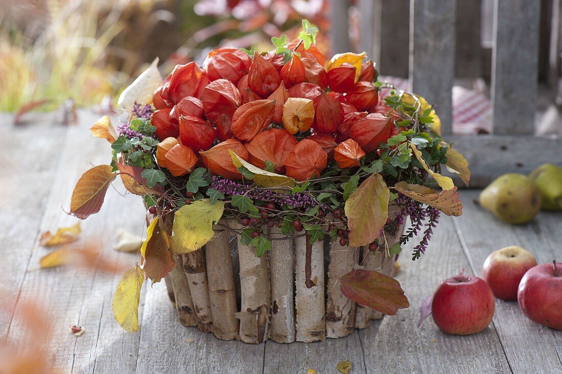 Autumn arrangement with physalis (lanterns) in a Betula bowl