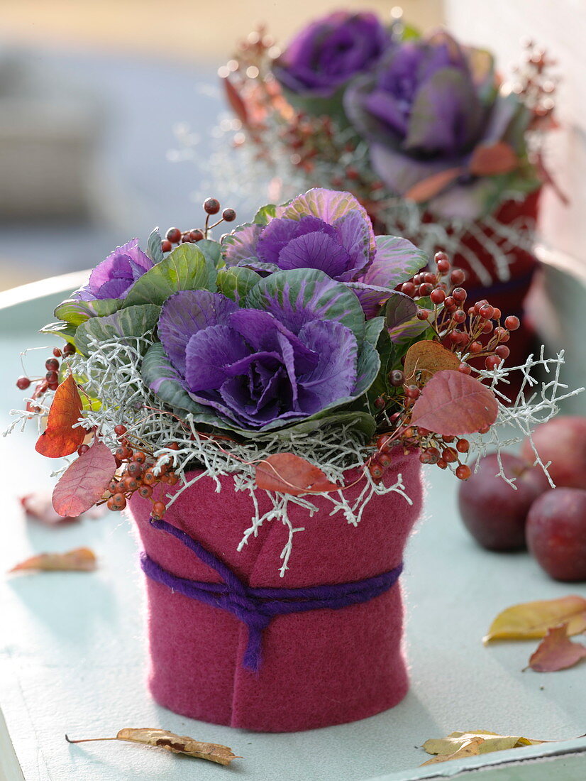 Autumnal bouquet with Brassica (cabbage), Calocephalus