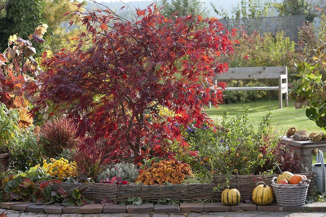 Autumn terrace with wicker borders