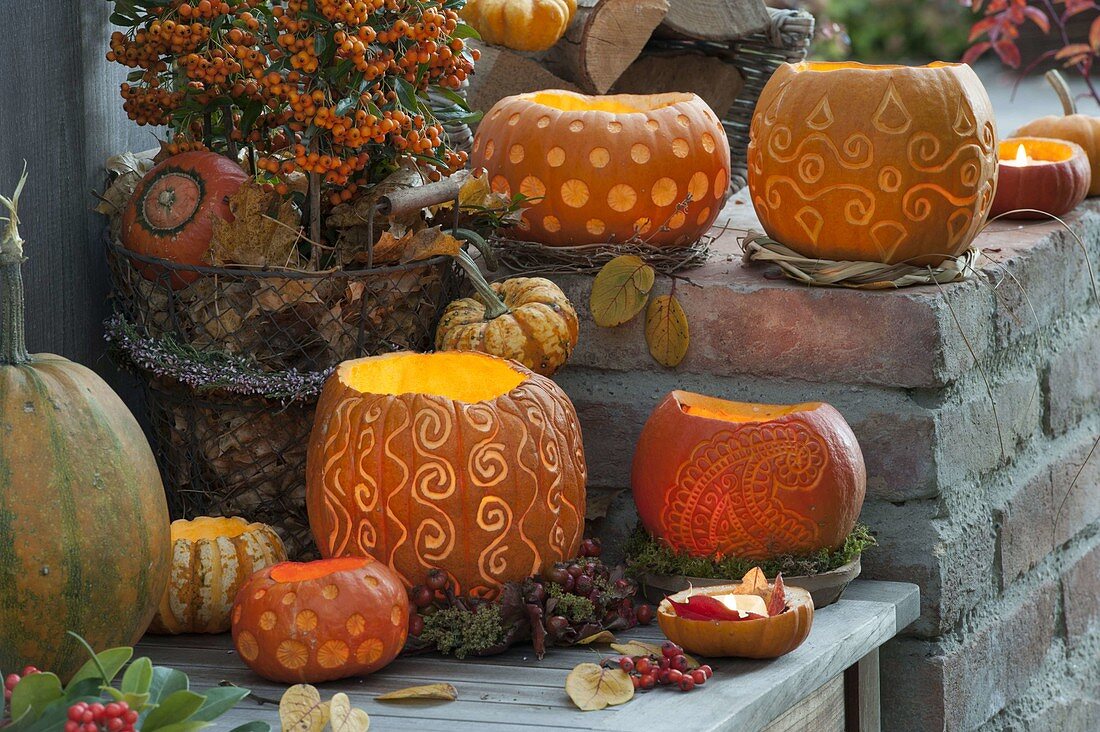 Arrangement of decorative carved pumpkins