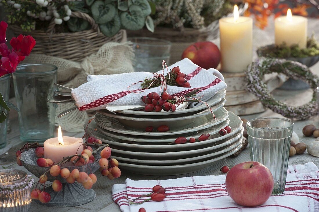 Plates and napkins decorated with rose hips, a candle with ornamental apples