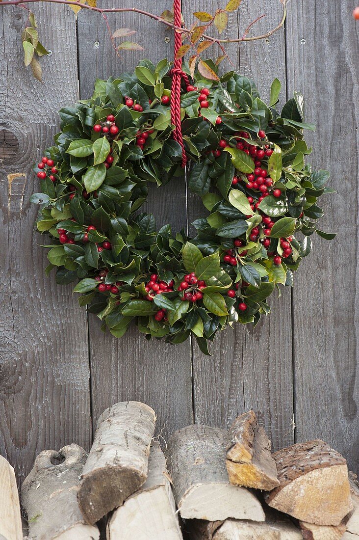 Simple wreath of Ilex (Holly) over firewood pile