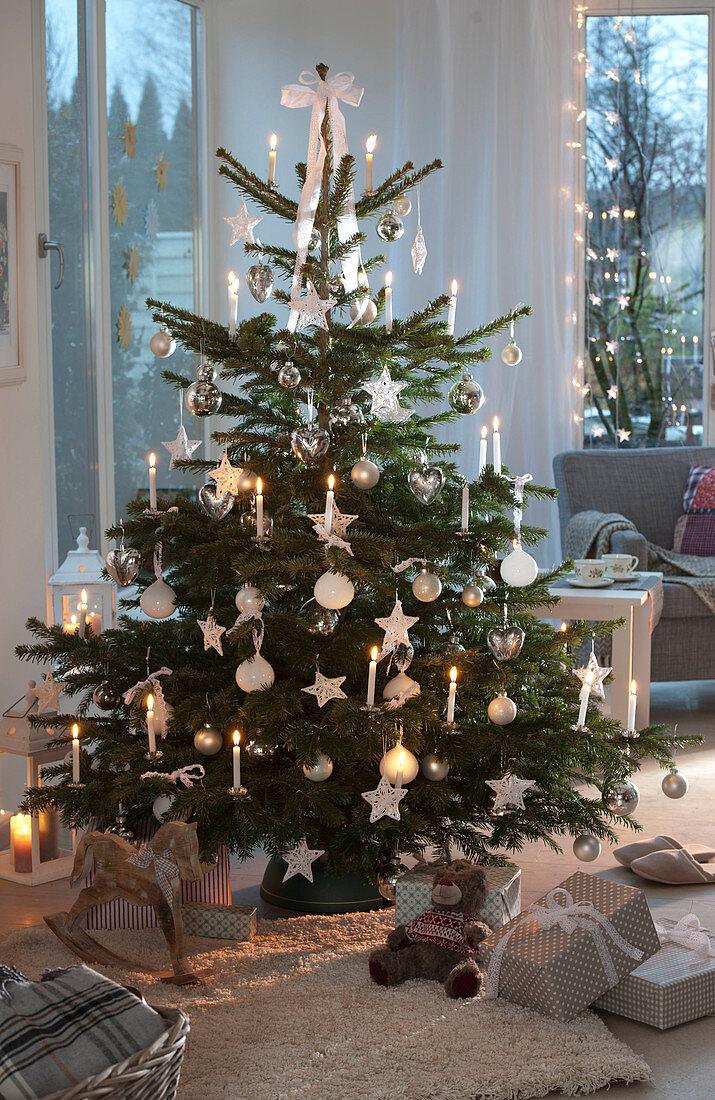 Abies nordmanniana (Nordmann fir) decorated with white balls