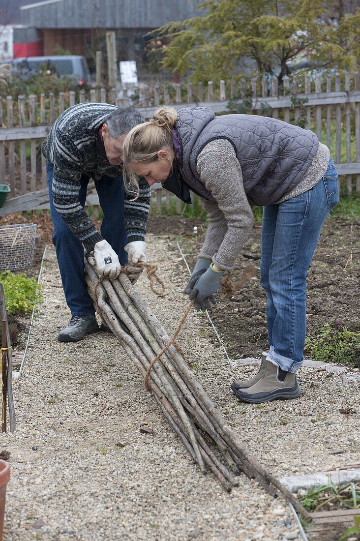 Woman and man tying beanstalks together