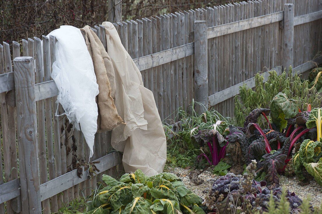 Various materials for covering beds