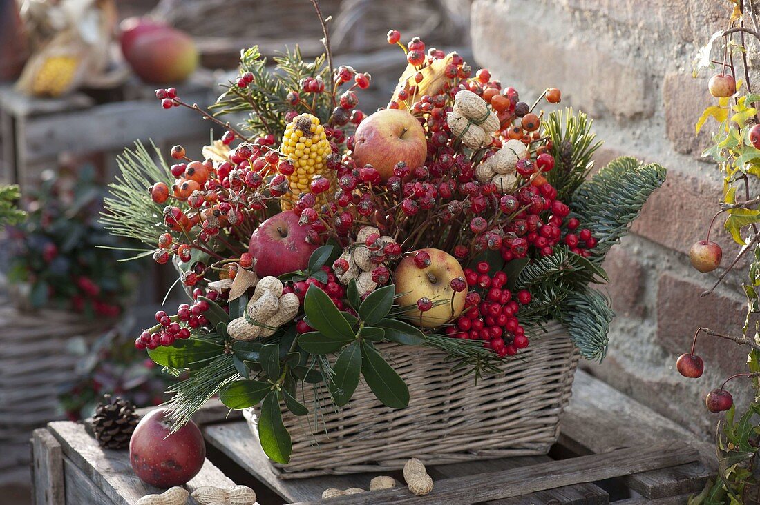 Korb-Kasten gesteckt mit Früchten und … – Bild kaufen – 12177132 ❘  Gartenbildagentur Friedrich Strauss