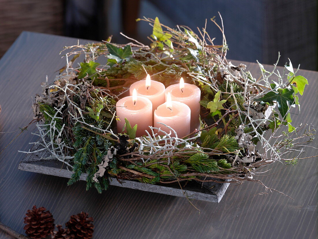 Natural Advent wreath made from branches of Juniperus (juniper), Euphorbia