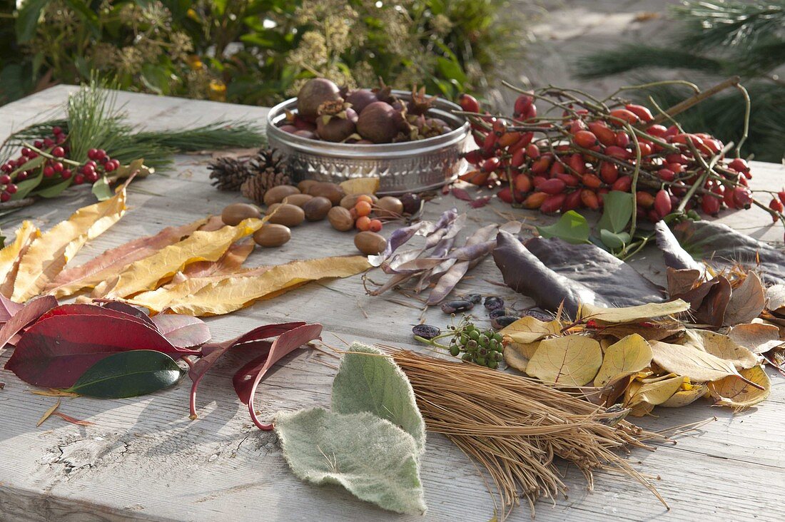 Laying pictures of leaves and fruits Ingredients tableau