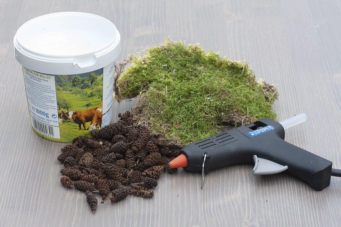 Yoghurt bucket with alder cone as a planter