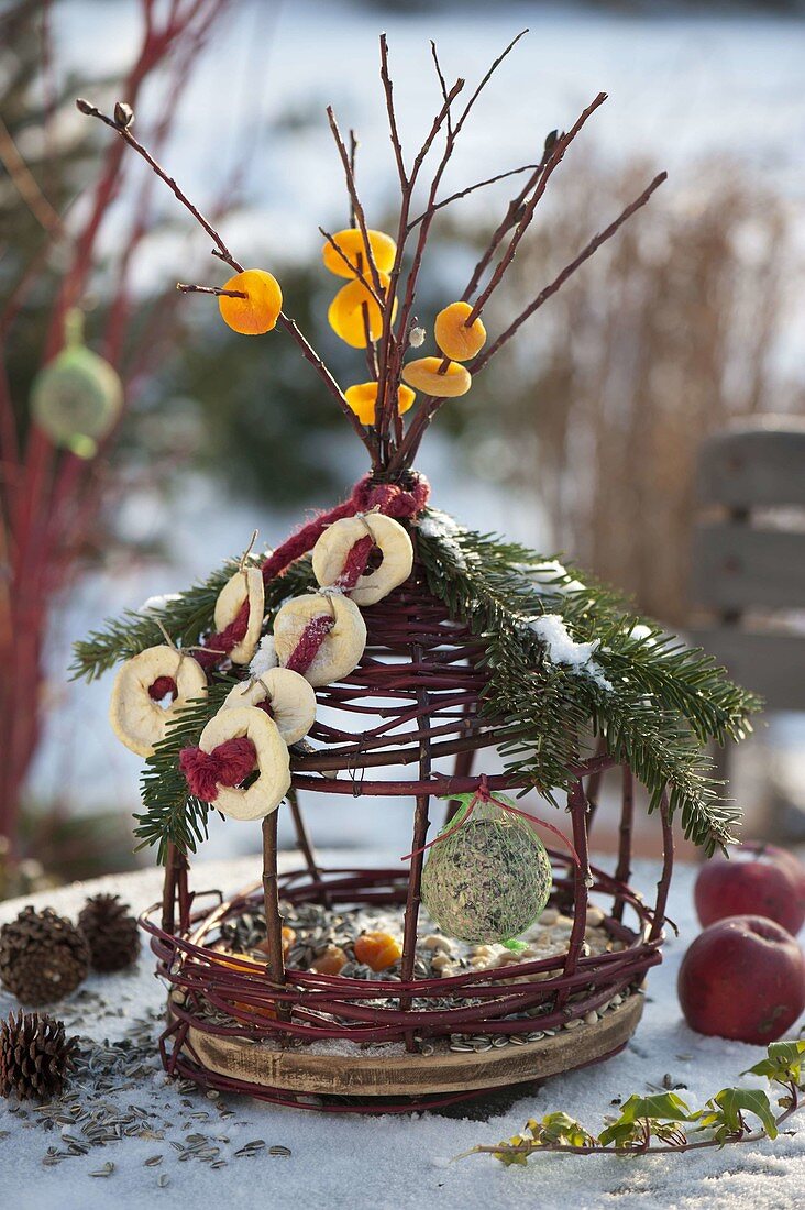 Homemade bird feeder with birdseed