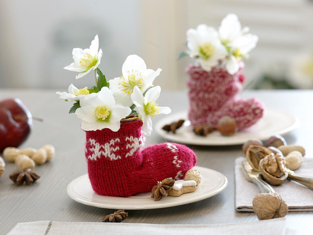 Small bouquet of helleborus niger (Christmas rose)