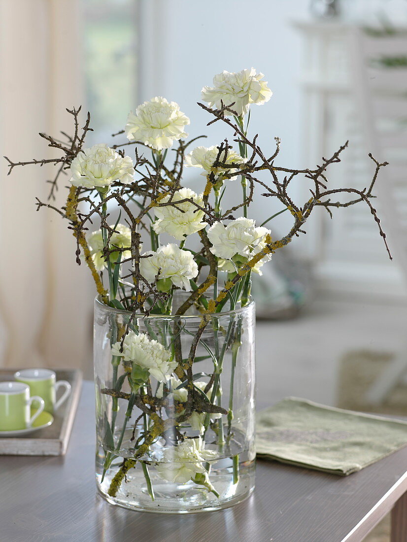 Dianthus Caryophyllus 'White Liberty' (carnations) in glass vase