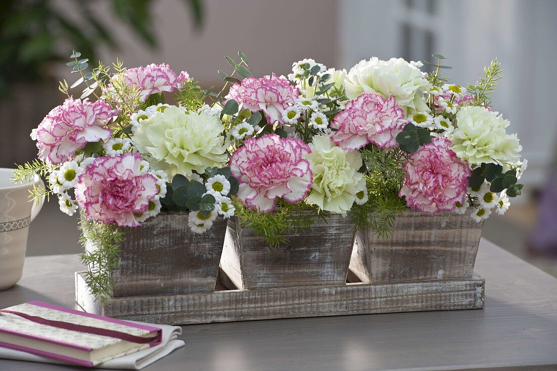 Small wooden pot with Dianthus 'Goblin' 'Fantasy', Chrysanthemum