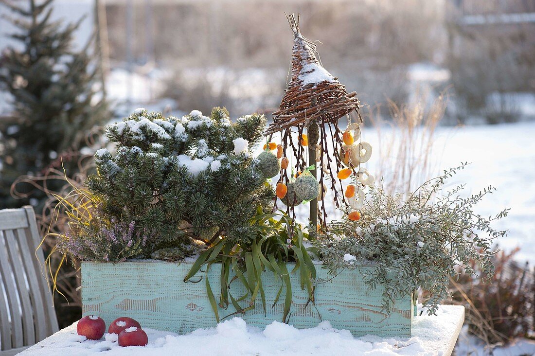 Wooden box with bird feeder tree