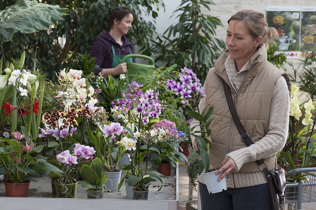 Woman buying flowers at garden centre