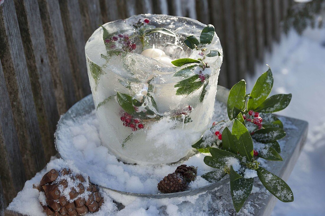 Homemade ice lantern with frozen holly leaves and berries