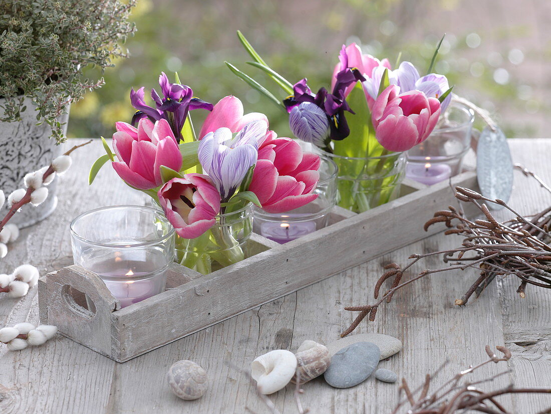 Small bouquets of tulipa, crocus and iris reticulata