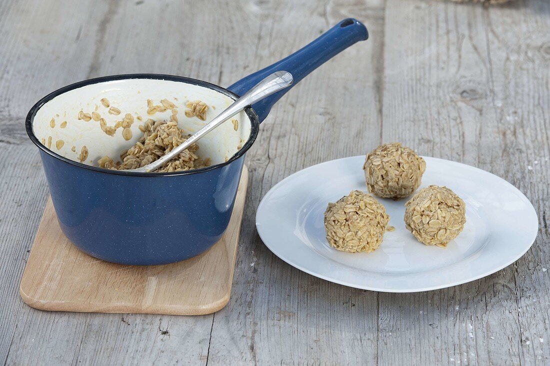 Bird fat seed ball self made with margarine and oatmeal