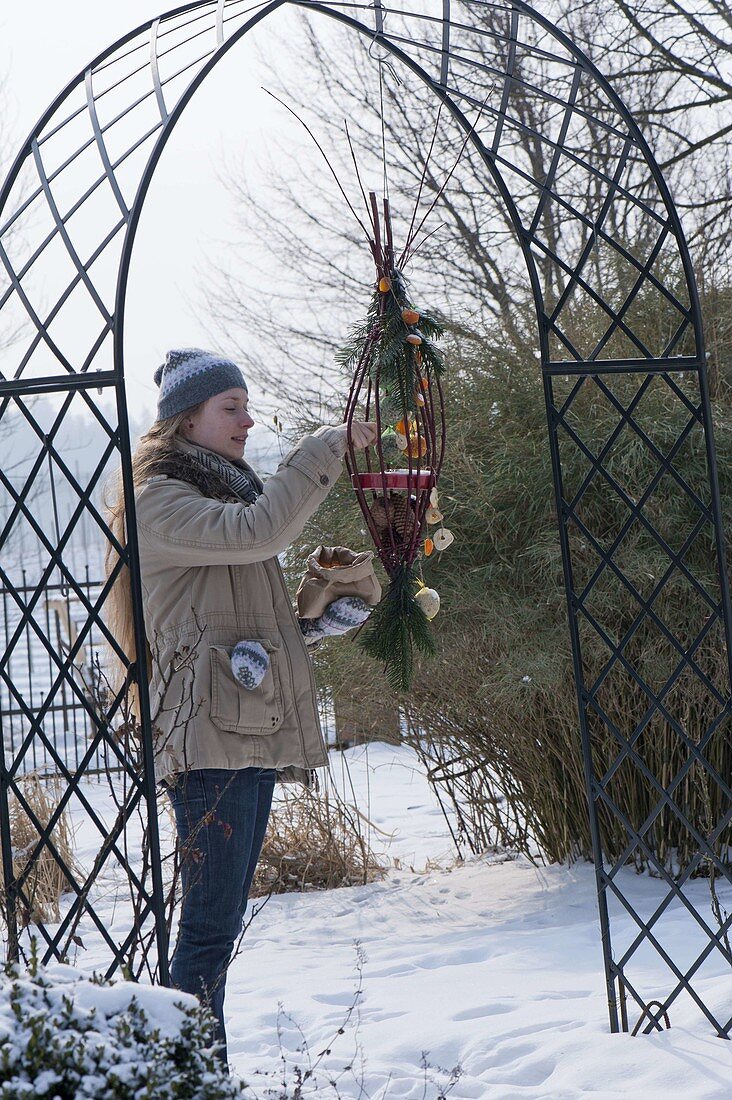 Woman filling homemade feeding station out of Cornus branches