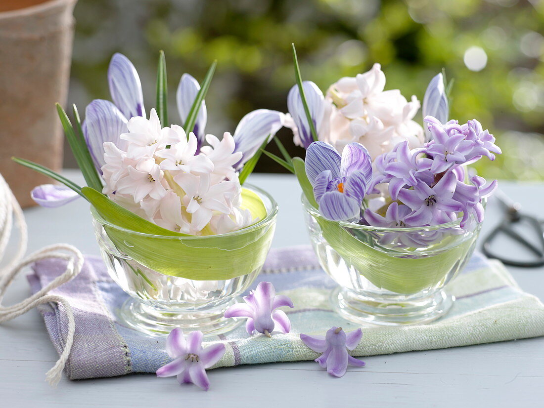 Mini - Sträuße aus Hyacinthus (Hyazinthen) und Crocus 'Striped Beauty'