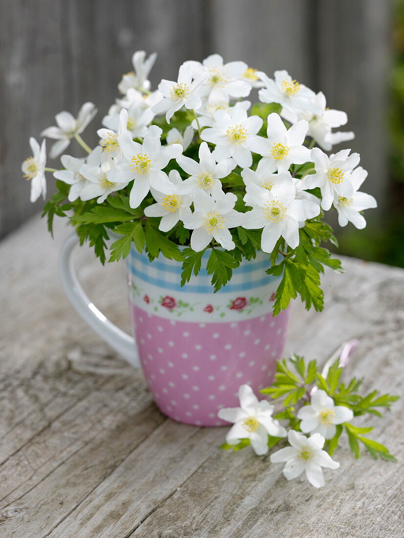 Small Anemone nemorosa (Wood anemone) bouquet in cup