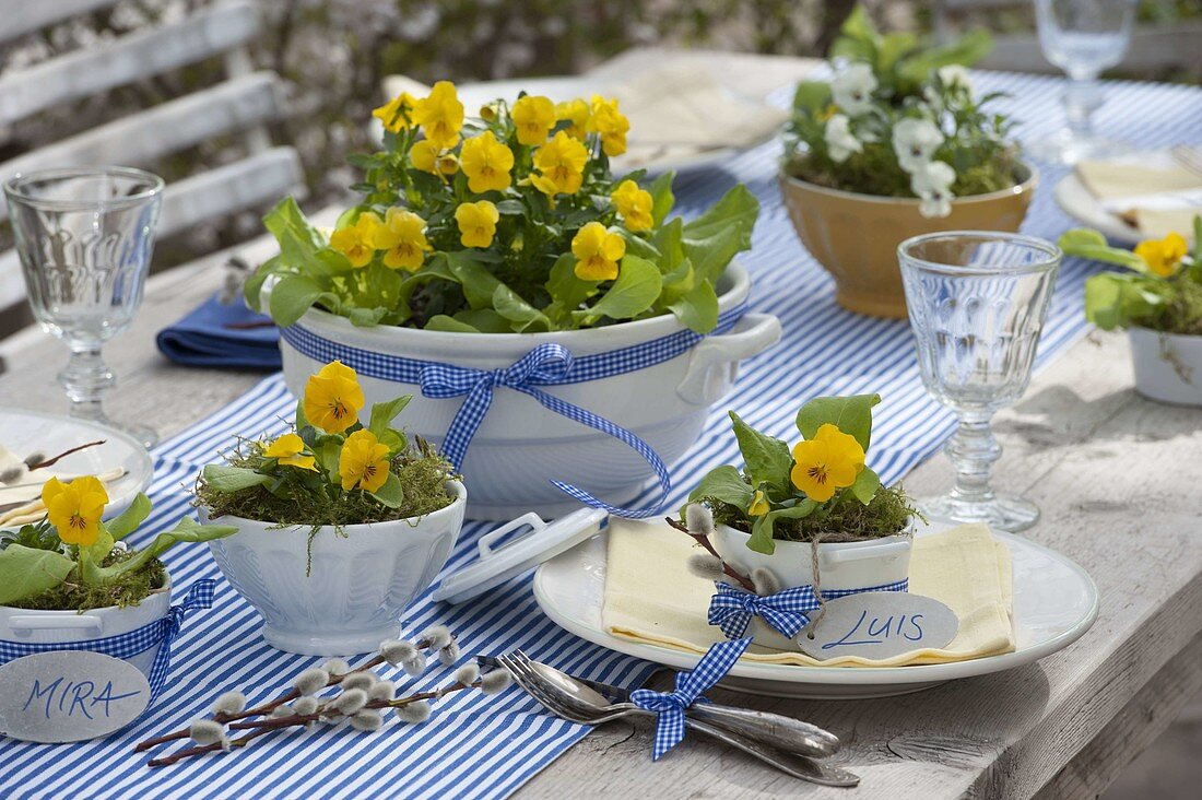 Edible table decoration with viola and salad 5/5