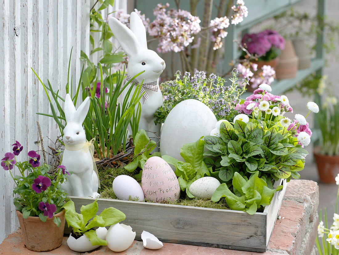 Wooden box with herbs and edible flowers