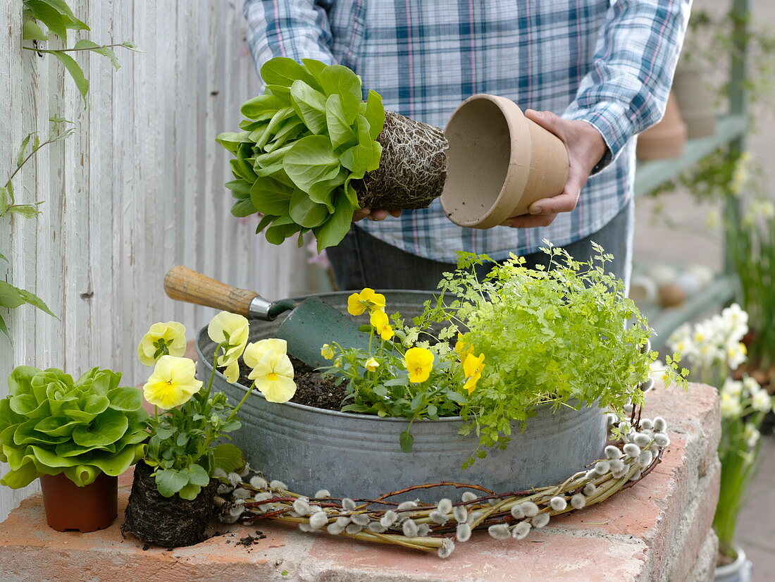 Woman planting a bowl with plants (1/2)