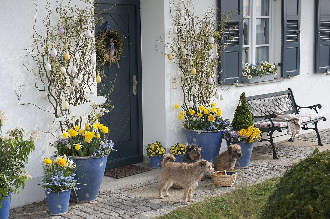 House entrance with blue tubs easterly