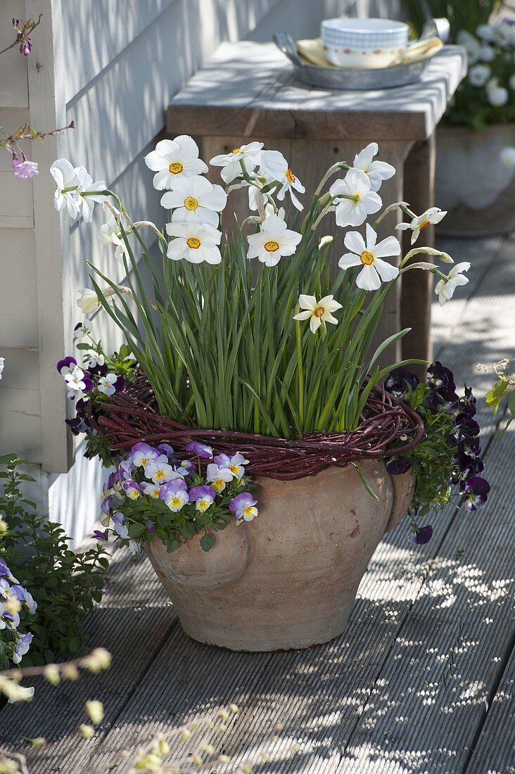 Pocket amphora with dogwood wreath and daffodils