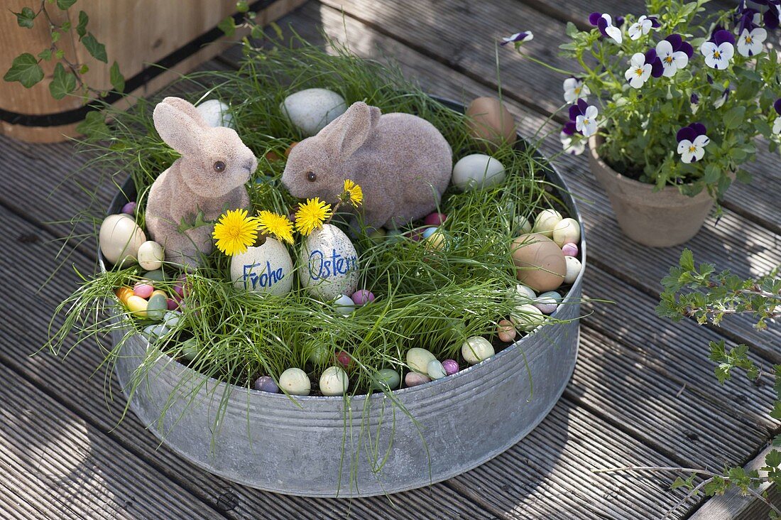 Boy sowing Easter grass in zinc bowl