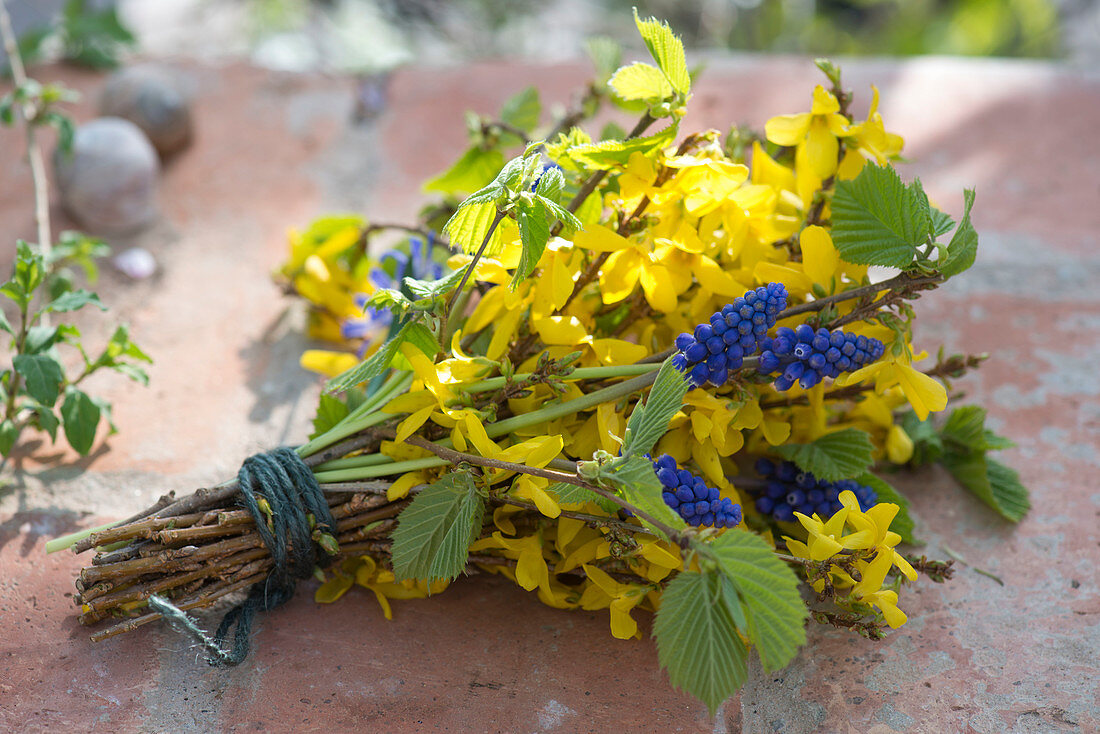 Blue-yellow spring bouquet with forsythia (goldbells)