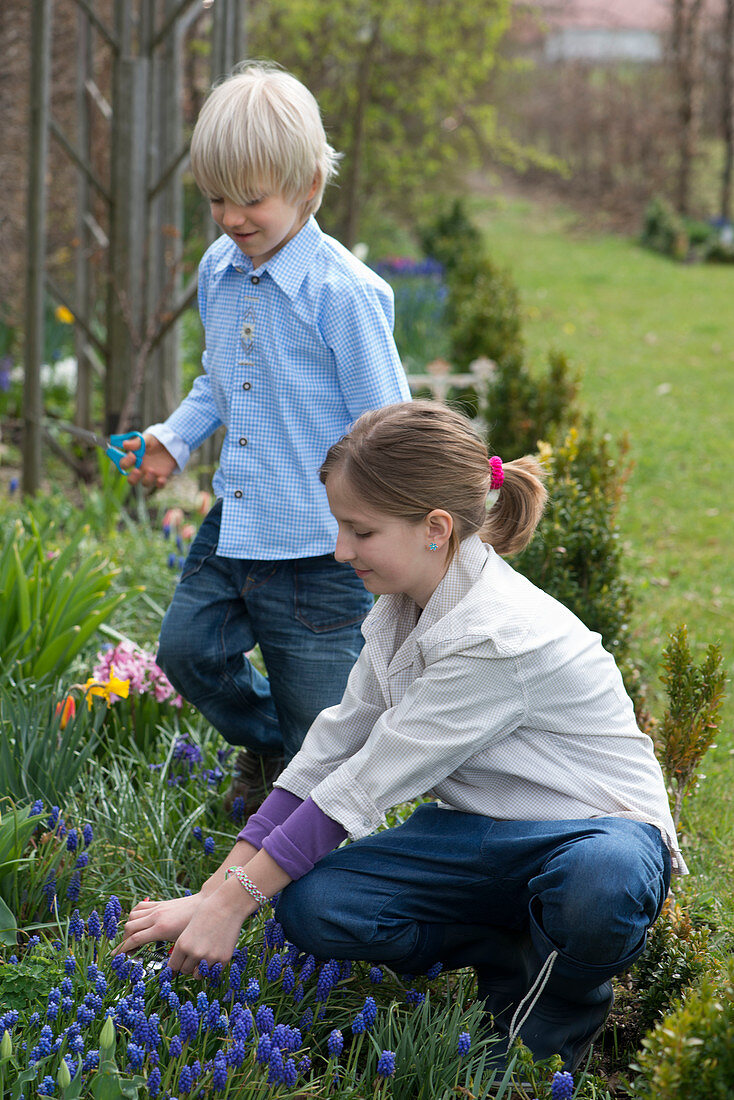 Children cutting flowers in the spring bed