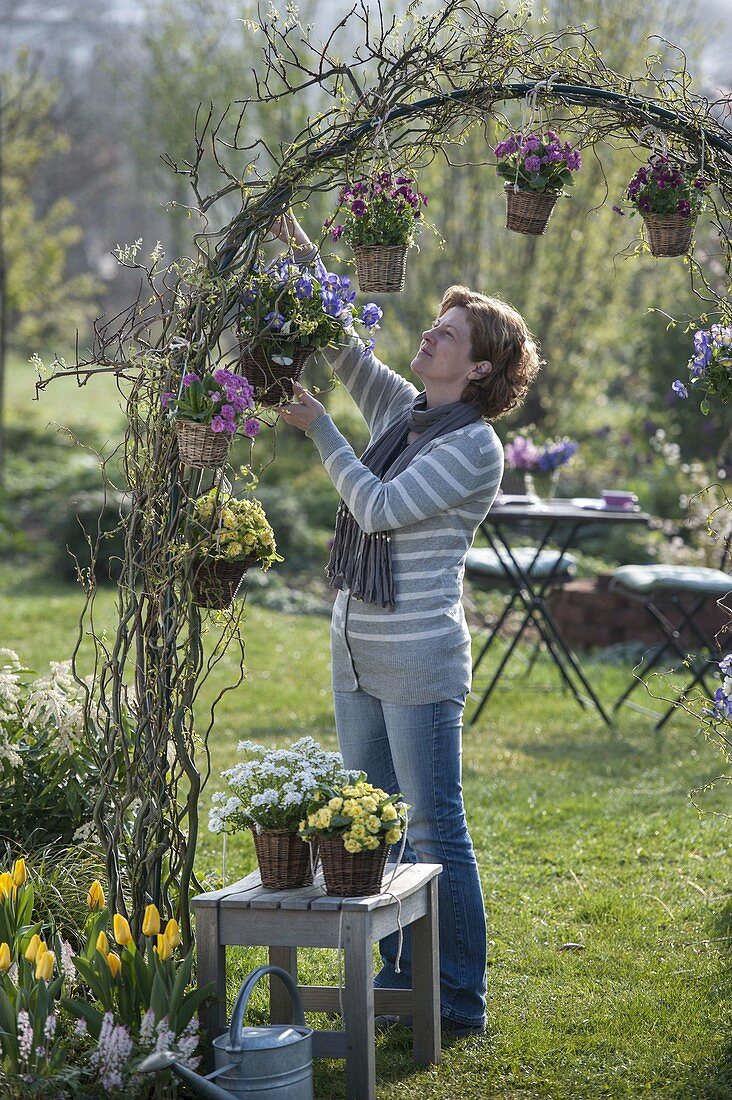 Spring flowers in pots hung on rosebuds