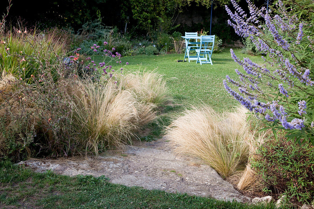 Passage to the lawn through Stipa tenuifolia (hair grass), in the border perennials and woody plants, blue seating area, on the right Vitex agnus-castus (monk's pepper)