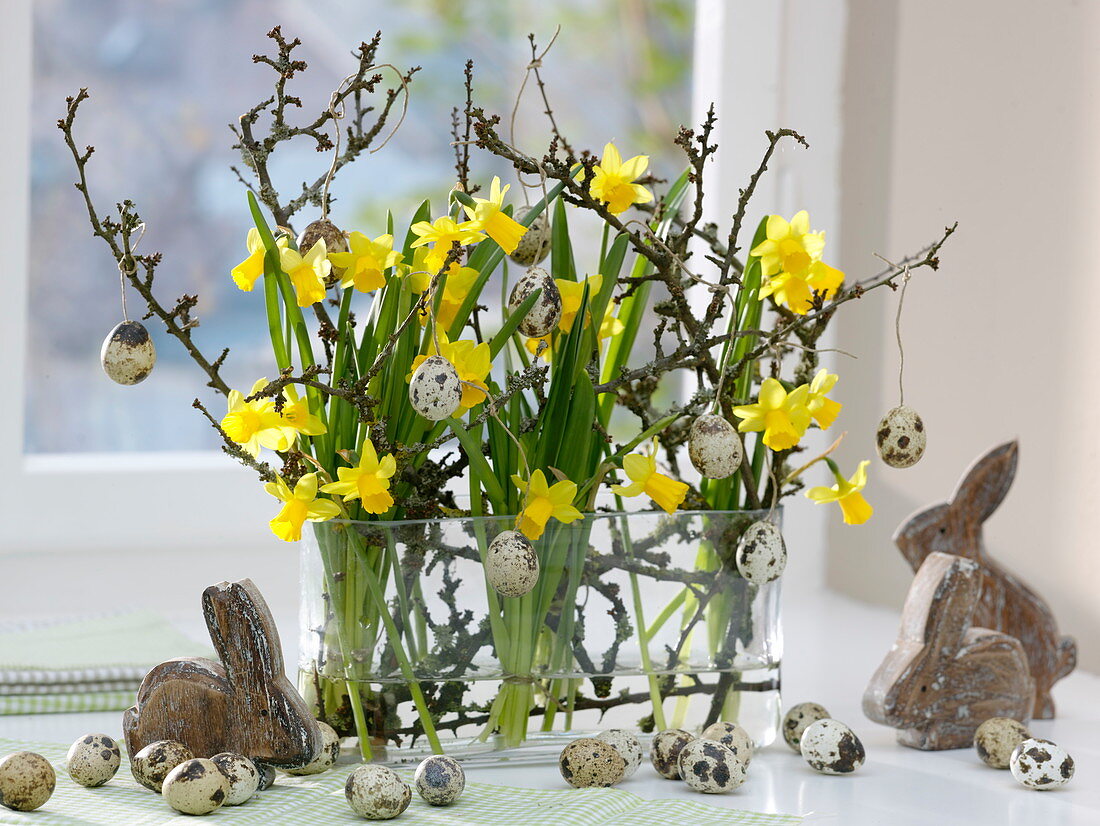 Oblong glass jar with Narcissus 'Tete a Tete' (daffodils)