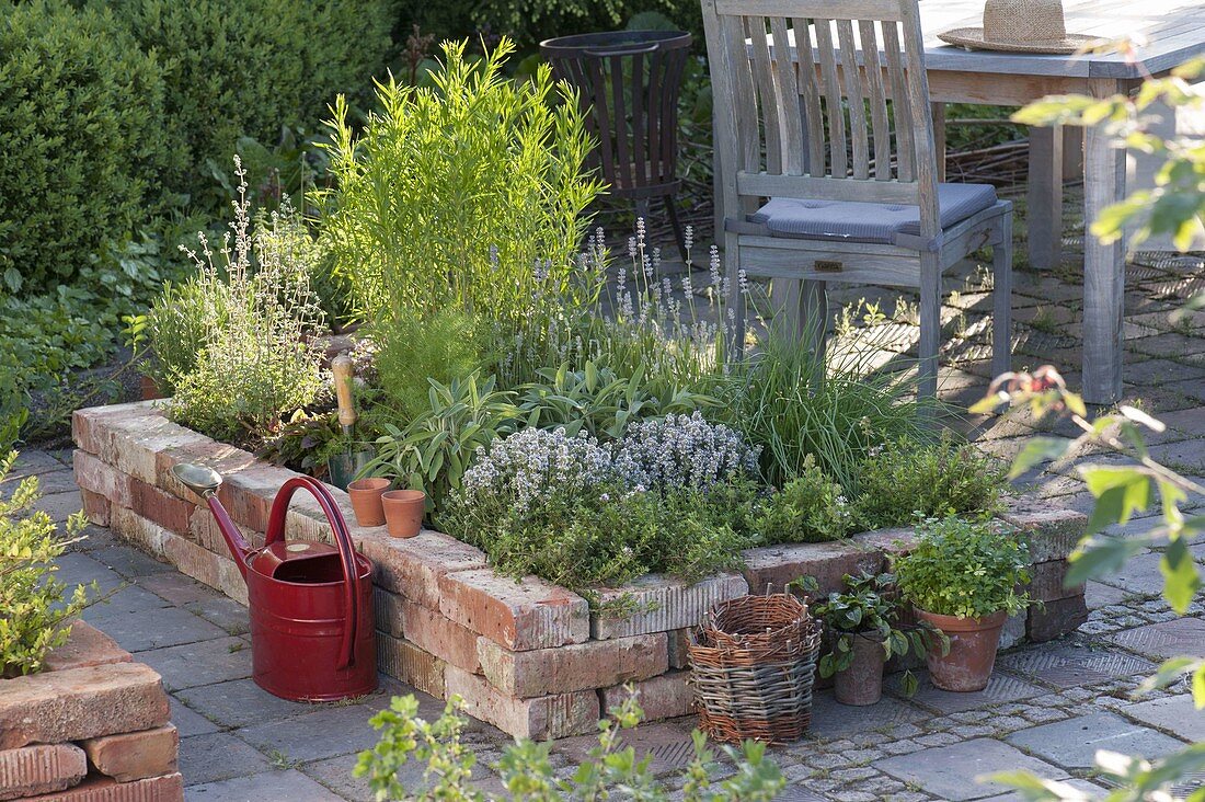 Raised bed of old bricks planted with herbs