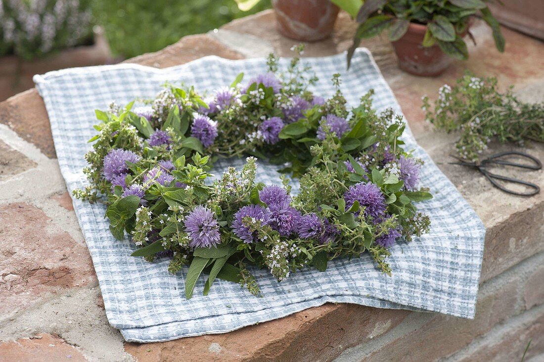 Herb wreath with blossoms of chives (Allium schoenoprasum)