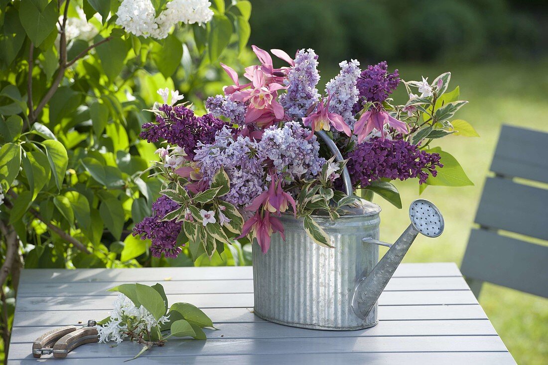 Duftstrauß mit Syringa (Flieder), Aquilegia (Akelei) und Zweige von Weigelia