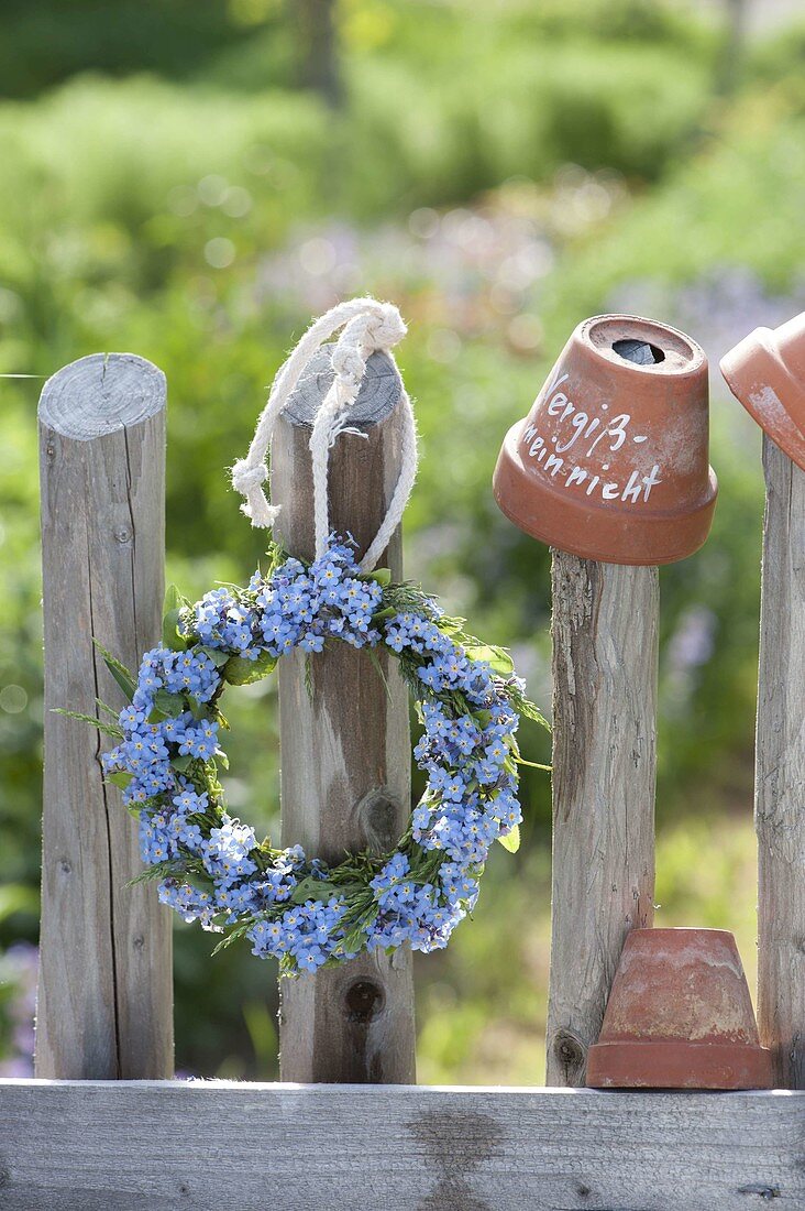 Making a wreath of myosotis (forget-me-not) by the fence