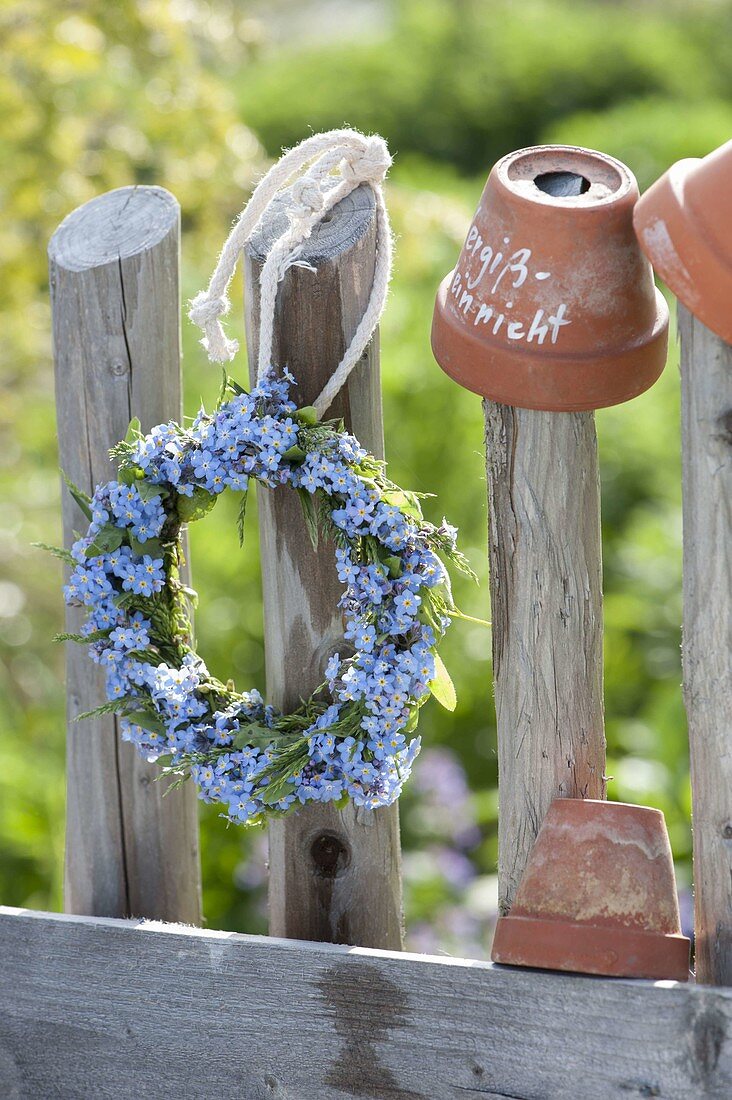 Myosotis (forget-me-not) wreath by the fence