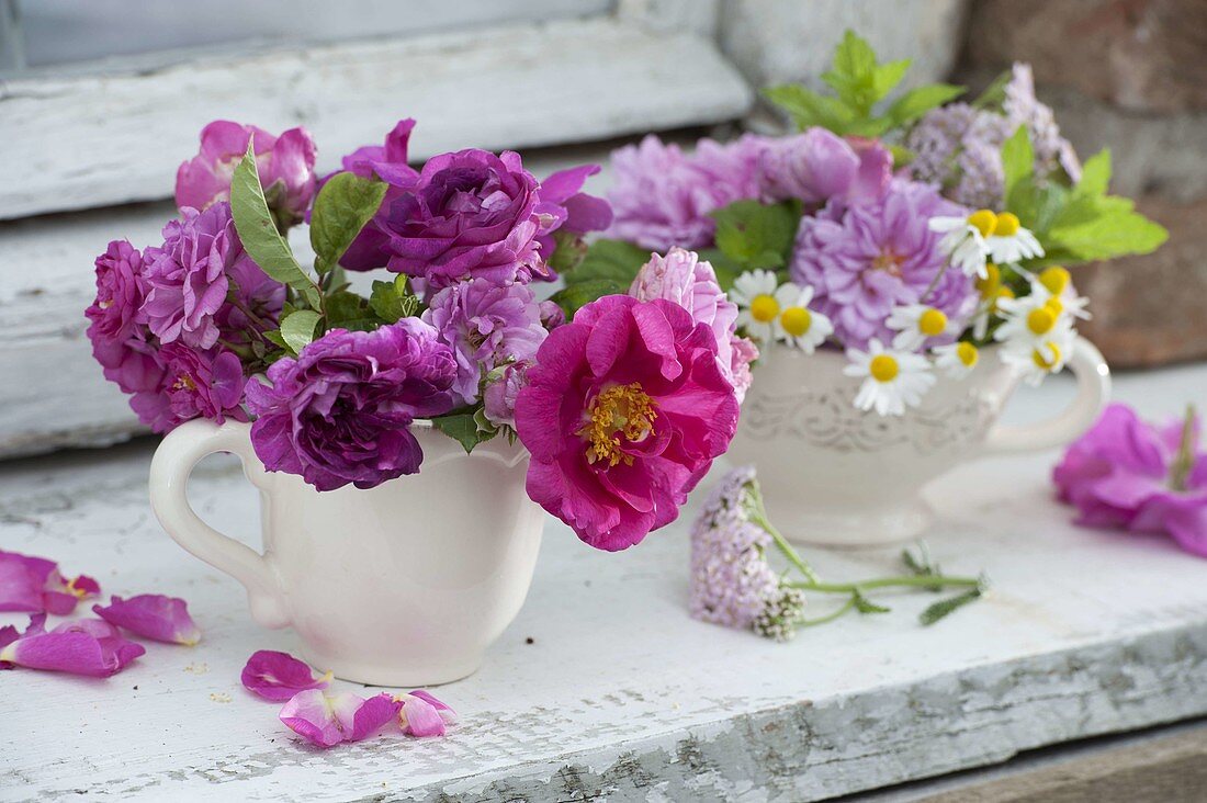 Small bouquets in cups: Rosa Oficinialis (Apothecary Rose)