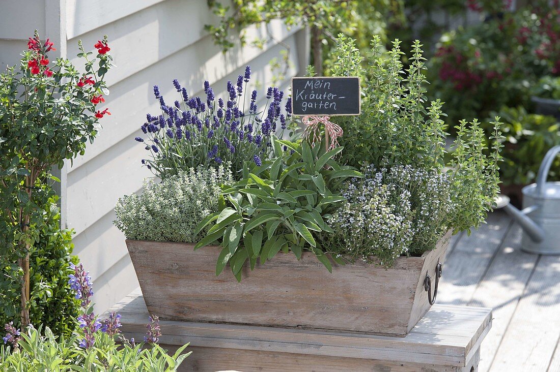 Planting a herb box