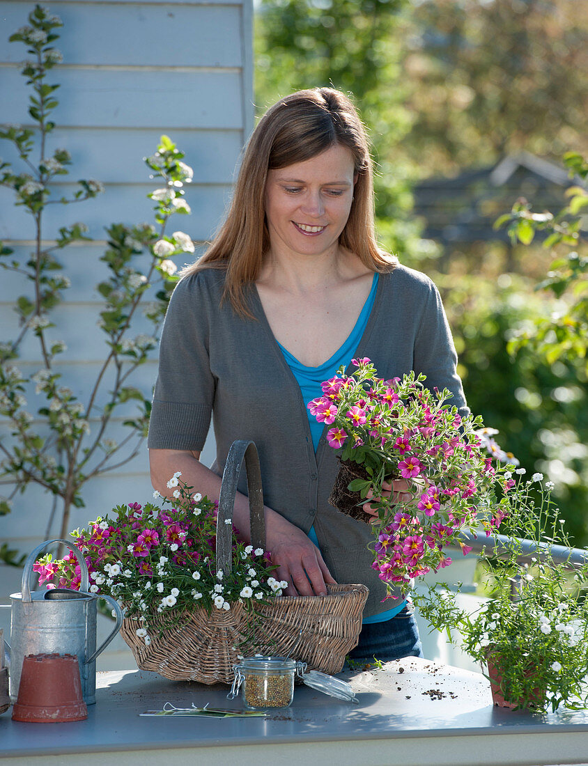 Planting a hanging basket as a hanging basket